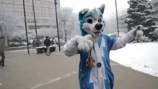 Blusicurl playing in the snow at MFF 2016
