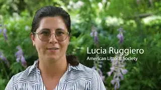 Protecting Delaware Bay from Stormwater Pollution