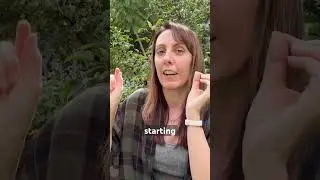 Овощи октября: что сажать в Южной Флориде?
