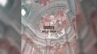 lowkey - sped up//reverb