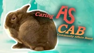 AS One CAB