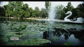 Canon C70 Internal RAW Cinematic Highlight Roll-Off OR Video Look?