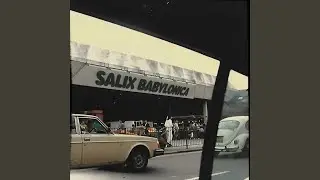 Voix De Raison