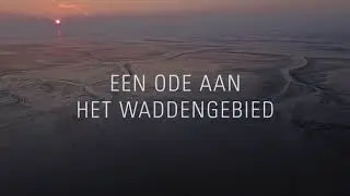 WAD, overleven op de grens van water en land - Ruben Smit
