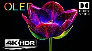 MIND-BLOWING OLED TEST You&rsquo;ve Never Seen | 4K HDR 120 FPS Dolby Vision (4K TV Test)