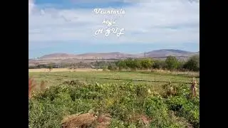 Uzuntarla koyu erzüruk