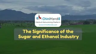 Ep: 5 The Significance of the Sugar and Ethanol Industry | ChiniMandi Series