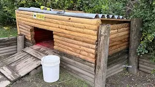 Another cold week for the tortoises! New shelter ideas and lamps installed! 