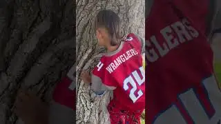 Toots n trees