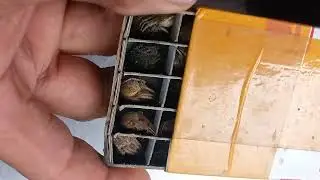 Uy... Gagamba oh.. meron na ulit testing kung meron pa gusto🕷️🕸️