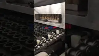 GD300Q automatic pectin and gelatin base gummies machine jelly candy production line