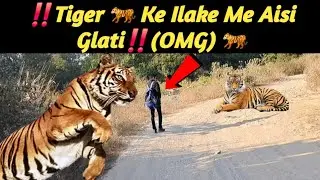 ‼️Tiger 🐅 Ke Ilake Me Aisi Glati‼️(OMG) 🐅