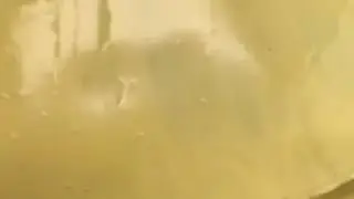 Cannabis batter