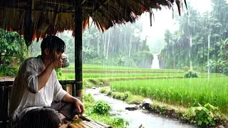 Enjoying the Rain in the Bamboo Hut of Indonesian Rice Fields &ndash; Natural Relaxation Atmosphere