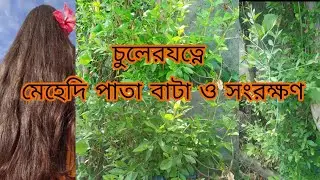 mehedi pata songrokkhon/চুলের যত্নে মেহেদি পাতা/how to store mehendi leaves #mehndi #haircare