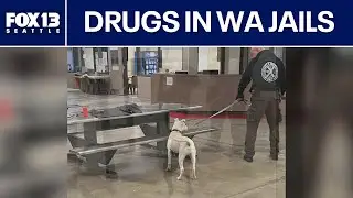 WA counties work to keep drugs out of jail | FOX 13 Seattle