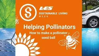 Helping Pollinators: How to make a pollinator seed ball at home