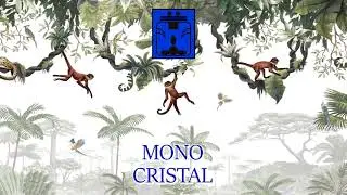 KIN 51 - 🐒 MONO CRISTAL 💎
