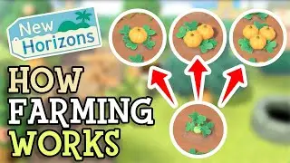 Animal Crossing New Horizons: HOW FARMING WORKS! (How To Grow Pumpkins) Everything You Need To Know!