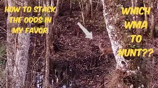 Public Land Deer Hunting | How I Choose Which WMA's To Hunt