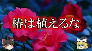 椿を庭に植えない方がよい理由【ゆっくり解説】