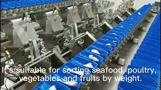 weight grading machine for sorting chicken drumstick