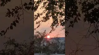 Sunset view  in room compound🥰 #sunset #qatar #nature #viral
