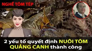 Yếu tố quyết định NUÔI TÔM QUẢNG CANH hiệu quả, về size lớn