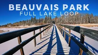 Snowy Lake Trail Run | 4K w/Music - 54min | Virtual Treadmill Workout Scenery | Virtual Run #Alberta
