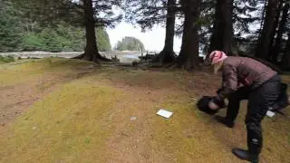 Pilgrimage to Windy Bay, Haida Gwaii - Island Roamer - Bluewater Adventures