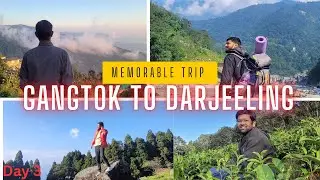 Tista River, Lamahatta, Tea Garden, Batasia Loop, Toy Train etc. | Gangtok-Darjeeling trip |