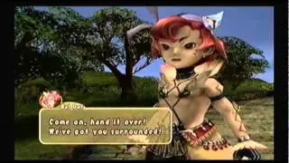 Final Fantasy: Crystal Chronicles - The Striped Brigand Events
