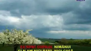 Cantece populare romanesti - Sa-mi canti cobzar ( Karaoke )