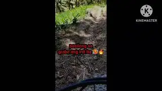 riding my MTB Ryder x7 with sr suntour epixon 140mm travel ( favorite trail spot )