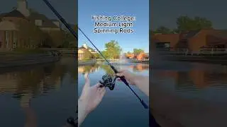 Medium light spinning rods for bass fishing? Let&rsquo;s talk about it 👀 #bassfishing