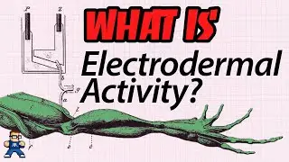What Is Electrodermal Activity?