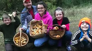 Chanterelles in Washington State - White Chanterelles - Yellow Chanterelles -Join us on a day trip!