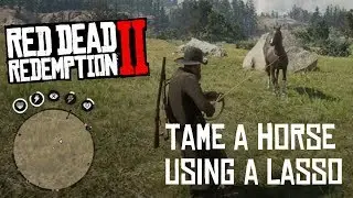 Tame a horse with a lasso / Red Dead Redemption 2