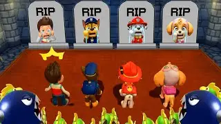 【マリオパーティ9】最高のラッキーミニゲーム ライダー VS チェイス VS マーシャル VS スカイ PAW Patrol