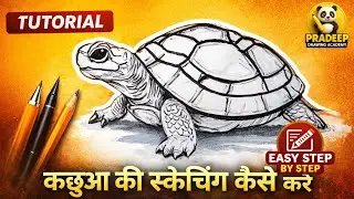कछुआ की स्केचिंग कैसे करे || tortoise sketching || tortoise simple easy step by step tutorial
