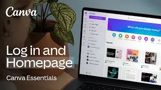 Navigating Canva&rsquo;s Homepage: Find what you need, fast