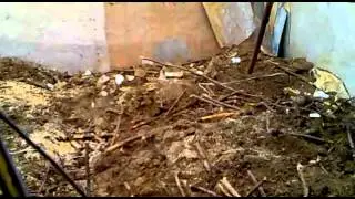 My Edited Video