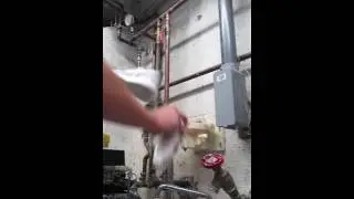 How to clean roshe runs