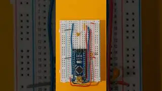 ASMR Breadboarding. #asmr #jazz #pcbdesign #breadboard #diyelectronics #circuit #electronics