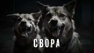 Страшные истории. СВОРА. Аудиокнига. Ужасы.