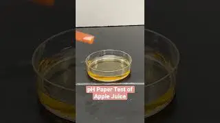 pH Paper Test of Apple Juice