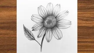 Draw a Daisy Flower | Simple Pencil Shading Technique Tutorial