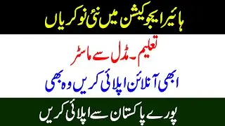 Higher Education Commission HEC Jobs 2021, HEC job, teacher jobs, govt jobs