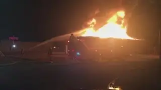 Squatters likely to blame for fire that took down old zoo building