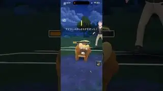 BF r3 g1-3